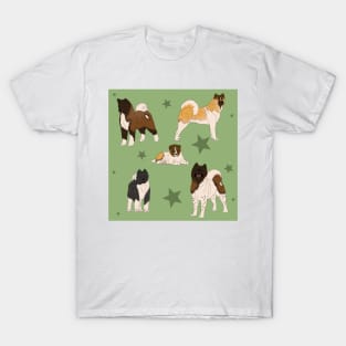 Akita American Pattern Sage T-Shirt